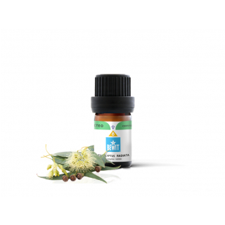 Kvalitný esenciálny olej EUKALYPTUS RADIATA BEWIT 5 ml